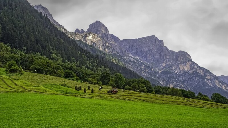 Tractor in Green Field — Serene, Afternoon