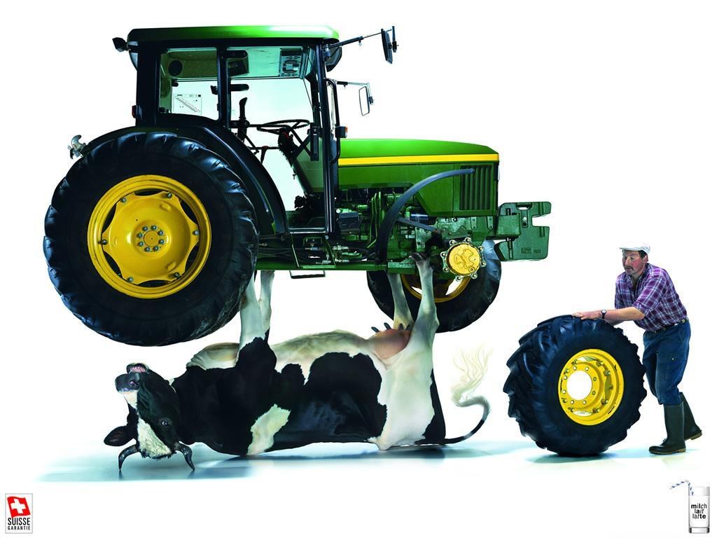 Tractor lifting cow in ad