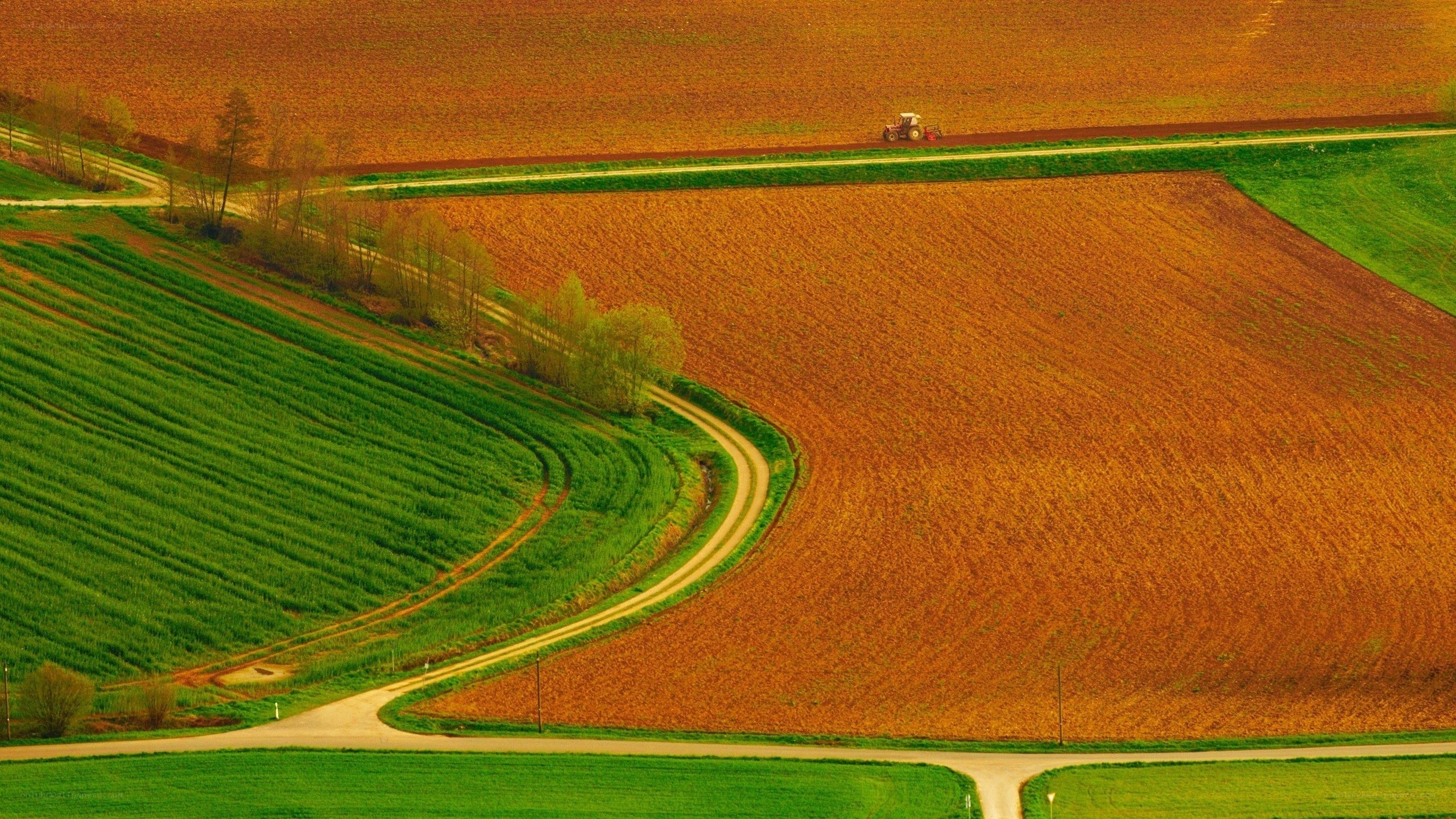 Tractor on a rural road