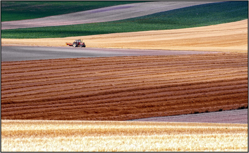 Tractor on Farmland