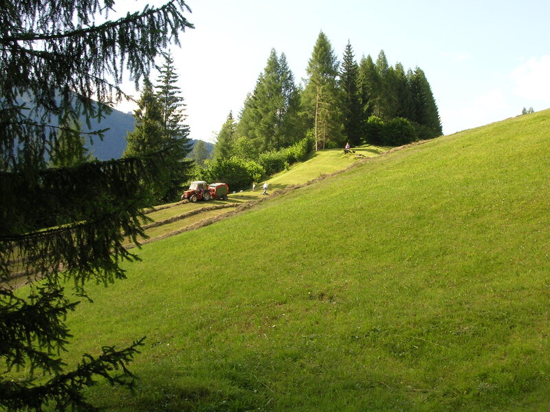Tractor on Grassy Hill