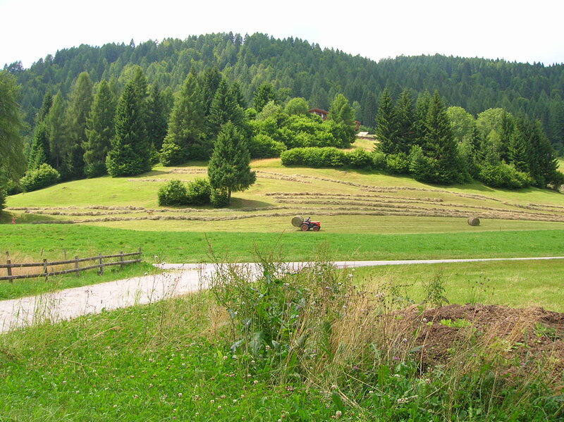 Tractor on Hay Field