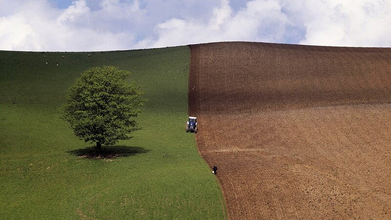 Tractor plowing a field