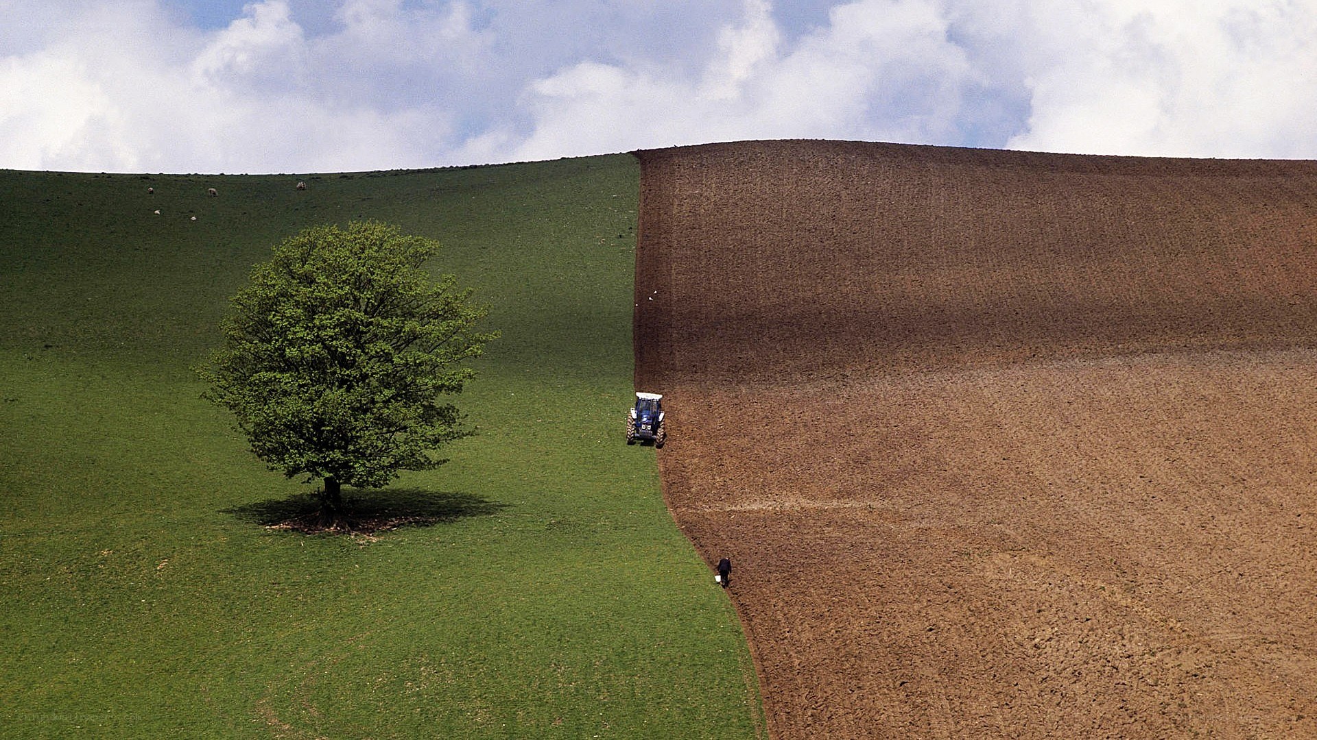 Tractor plowing a field