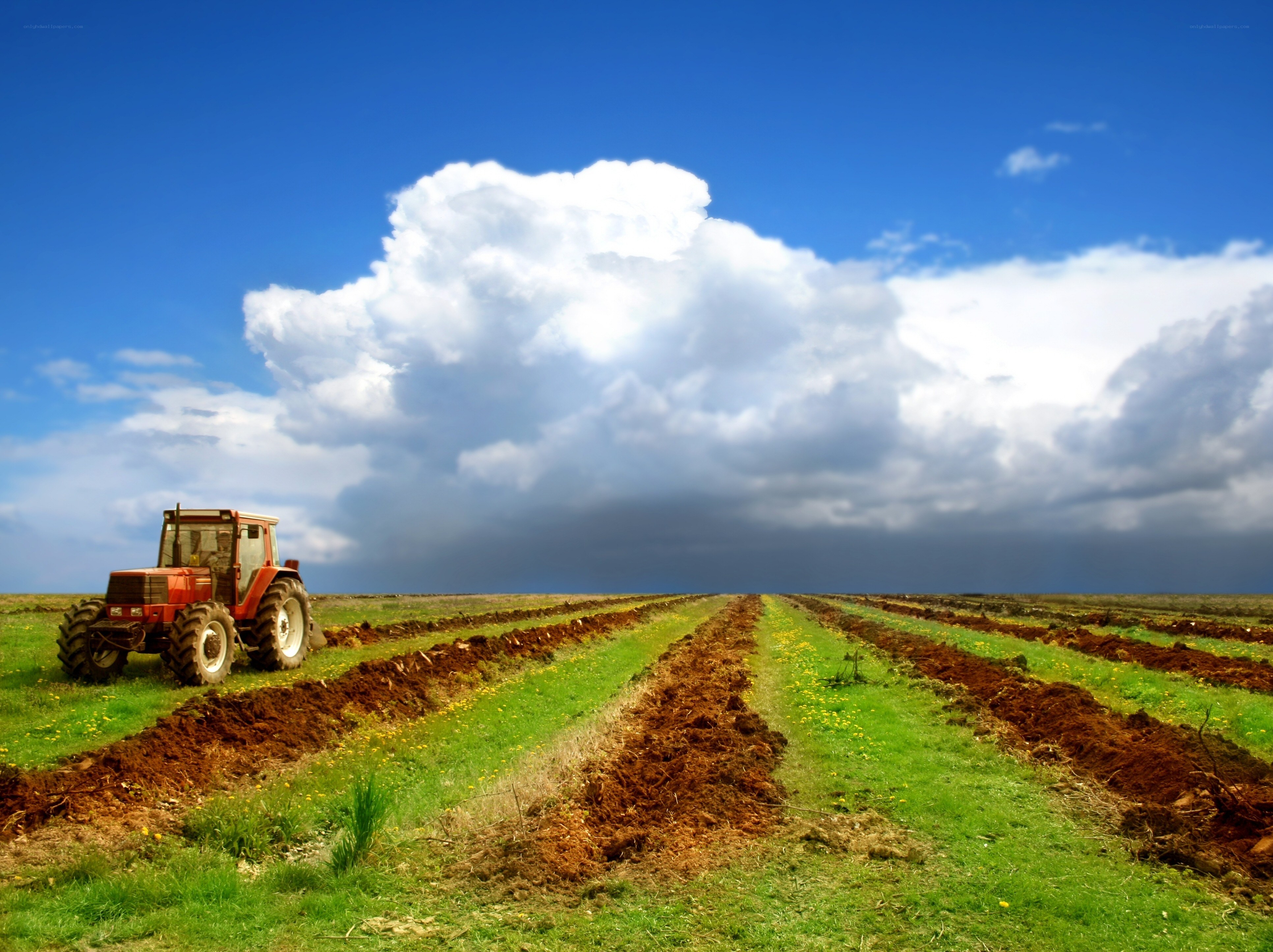 Tractor plowing a field