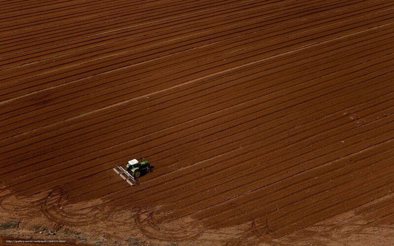 Tractor plowing a field