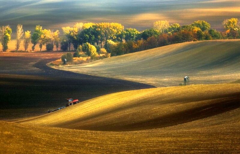 Tractor plowing autumn fields