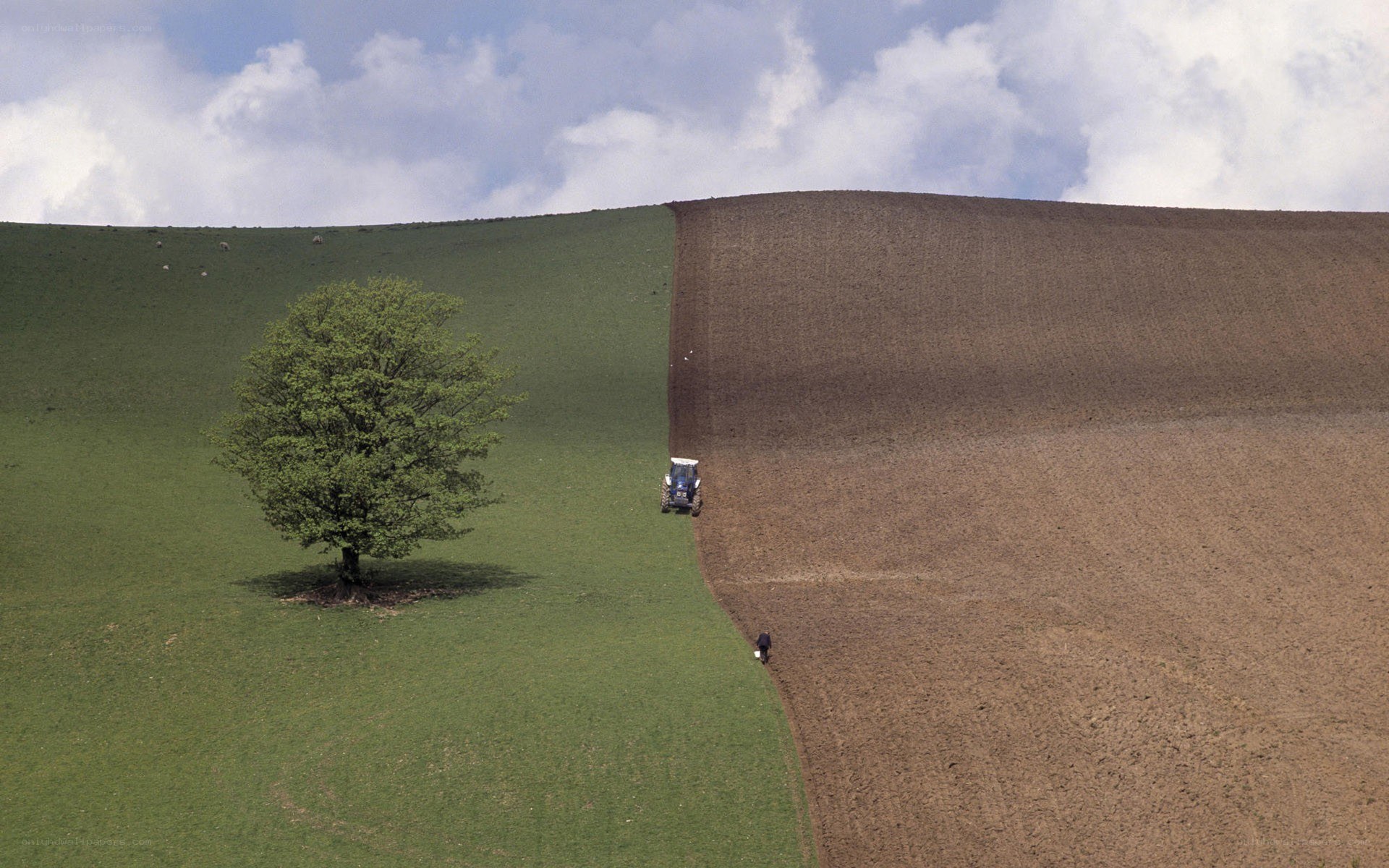 Tractor plowing field