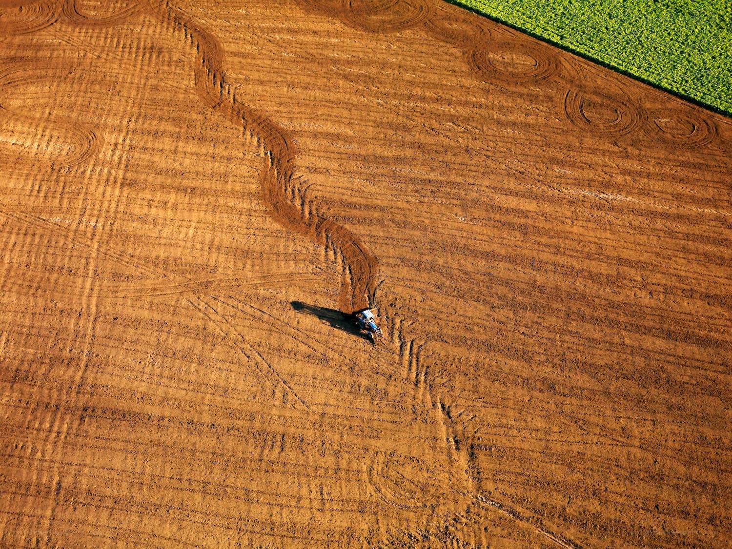 Tractor plowing field