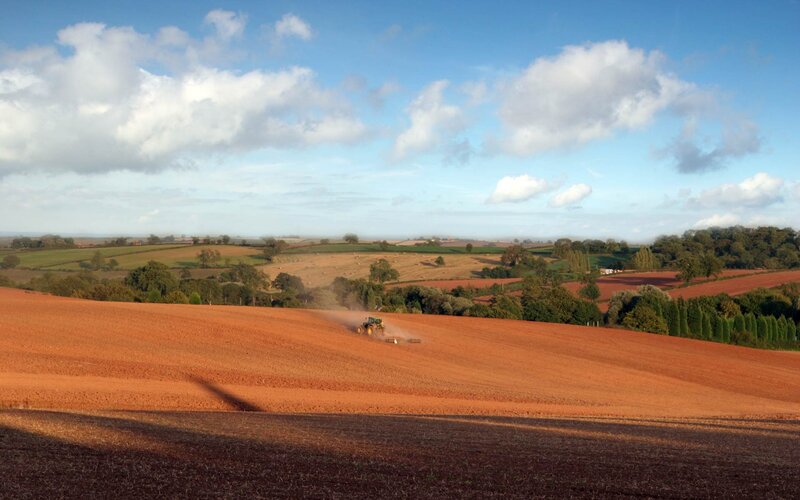 Tractor Plowing Field — Brown, Serene, Afternoon, Photograph, Trees