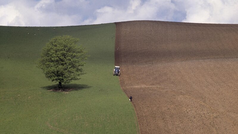 Tractor Plowing Field — Green, Serene, Afternoon