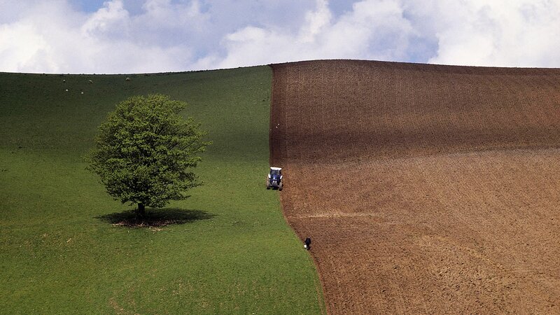 Tractor Plowing Field — Green