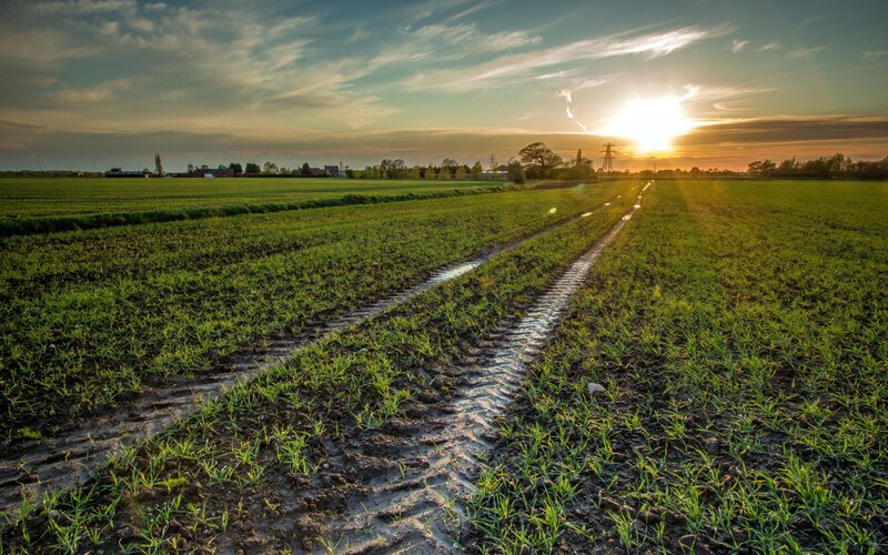 Tractor Tracks in Field