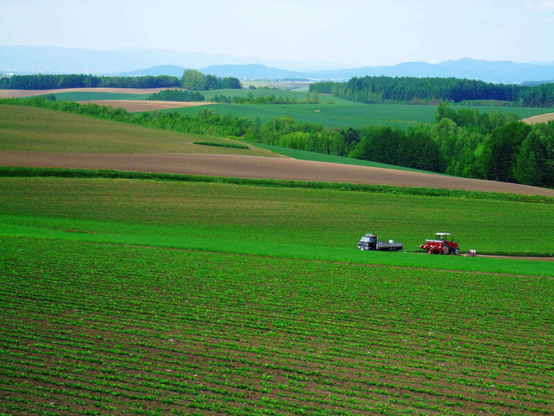Tractor working in green fields