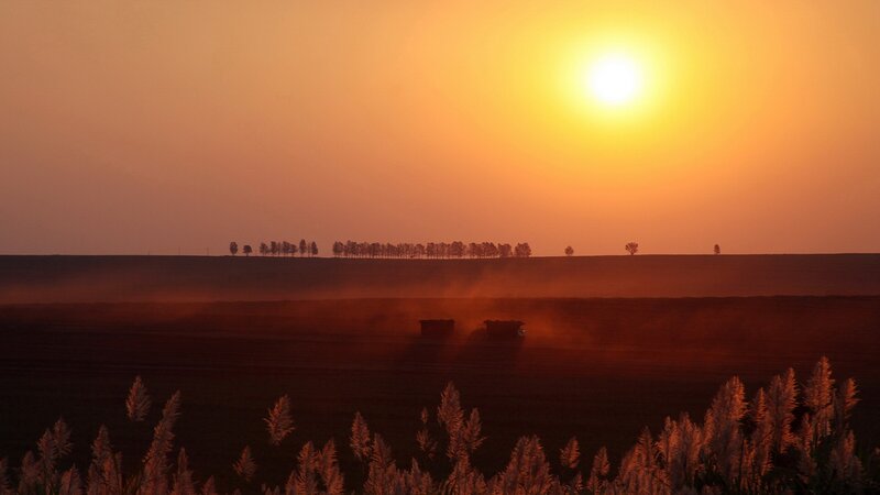 Tractors in Field