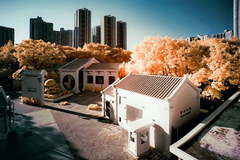 Traditional buildings in urban park