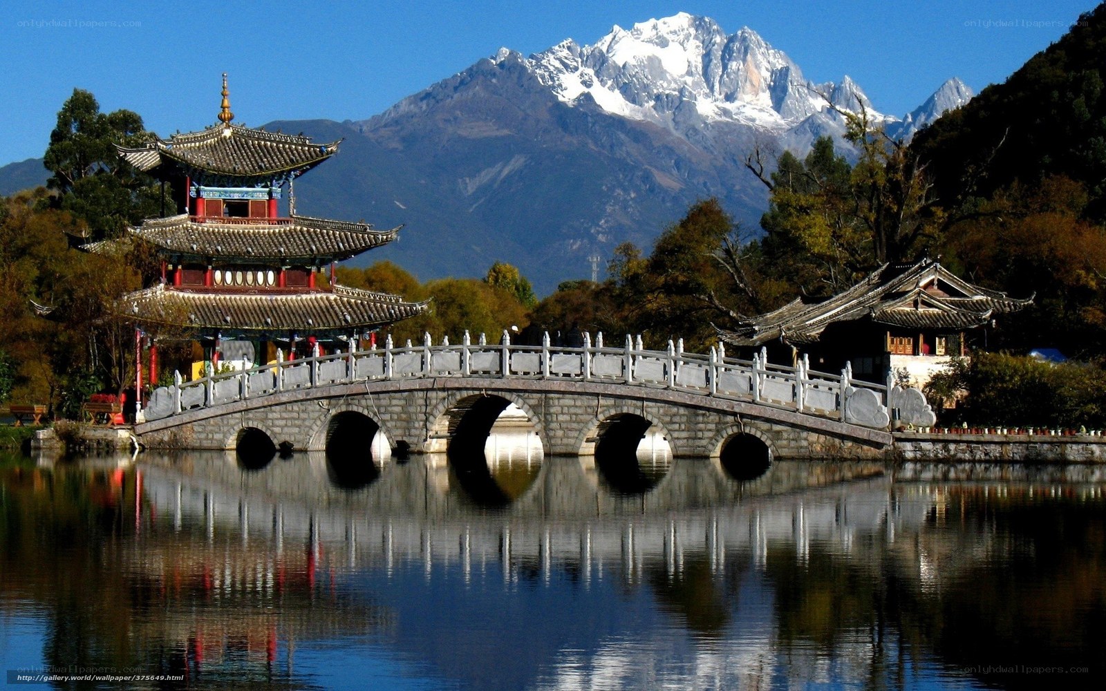 Traditional Chinese bridge and pagoda