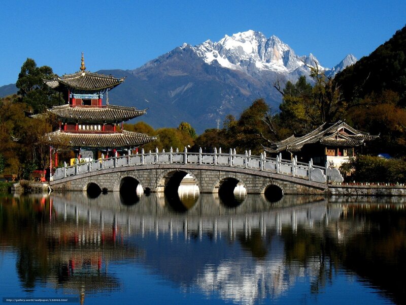 Traditional Chinese bridge and pagoda