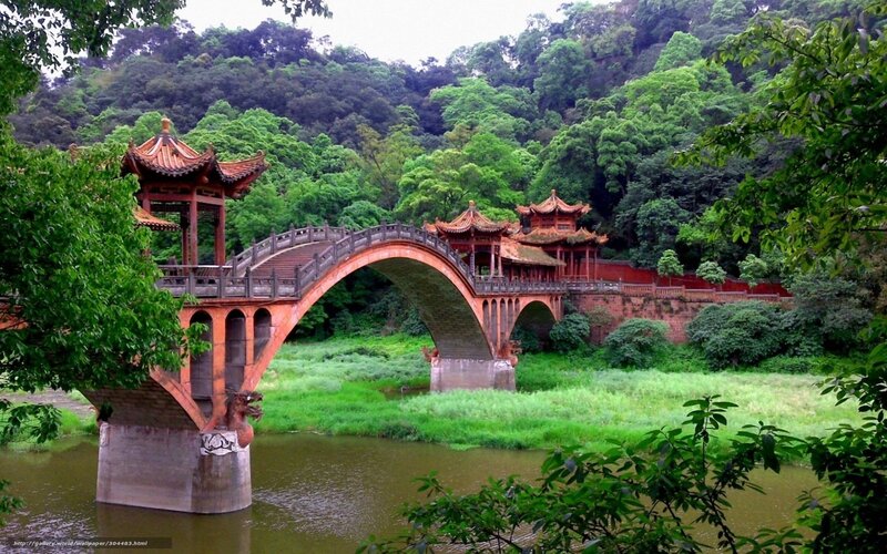 Traditional Chinese bridge in green landscape
