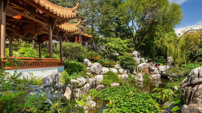 Traditional Chinese Garden — Green, Serene, Afternoon, Photograph