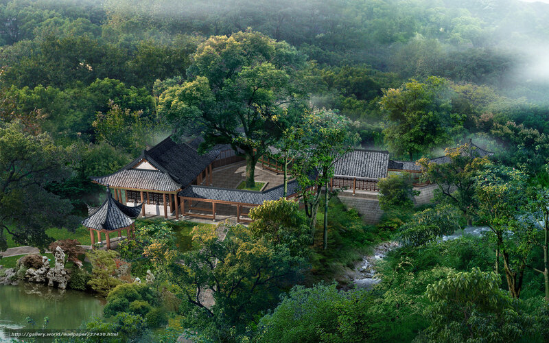 Traditional Chinese garden in mist