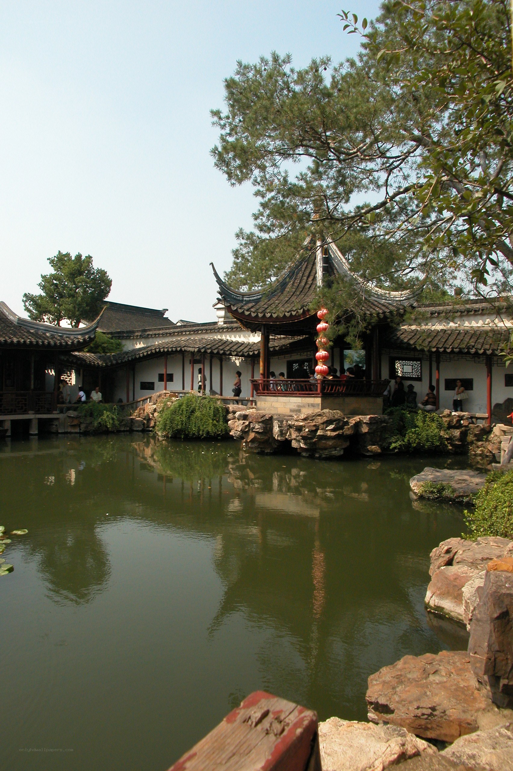 traditional chinese garden pond