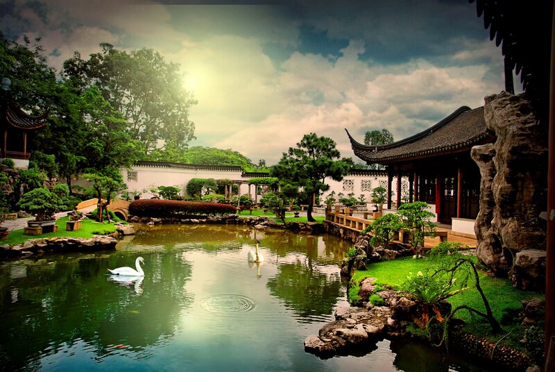 Traditional Chinese garden with swans