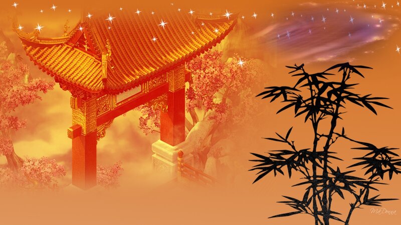 Traditional Chinese Gate