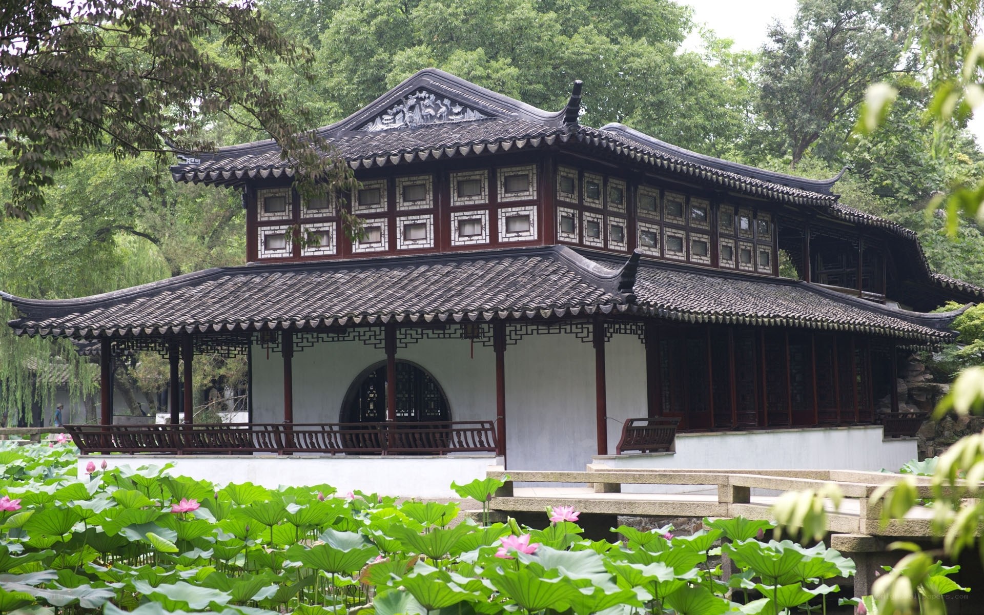 traditional chinese pavilion by lotus pond