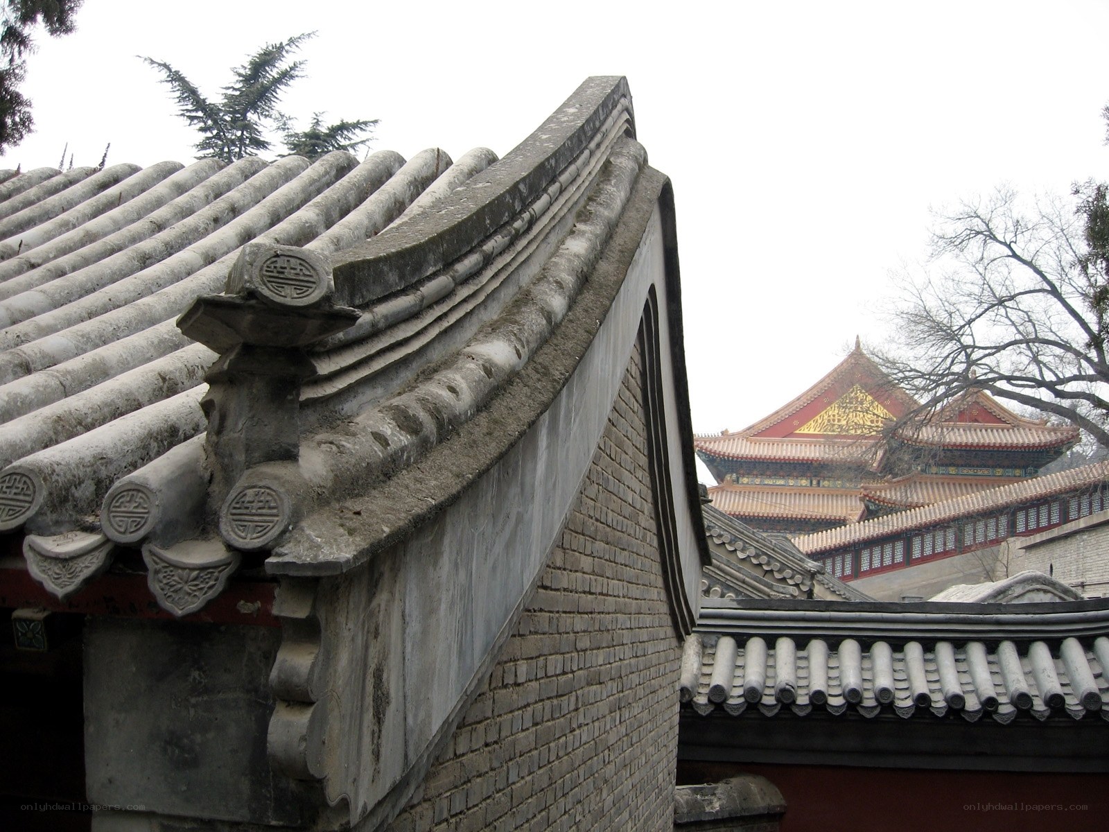traditional chinese roof details
