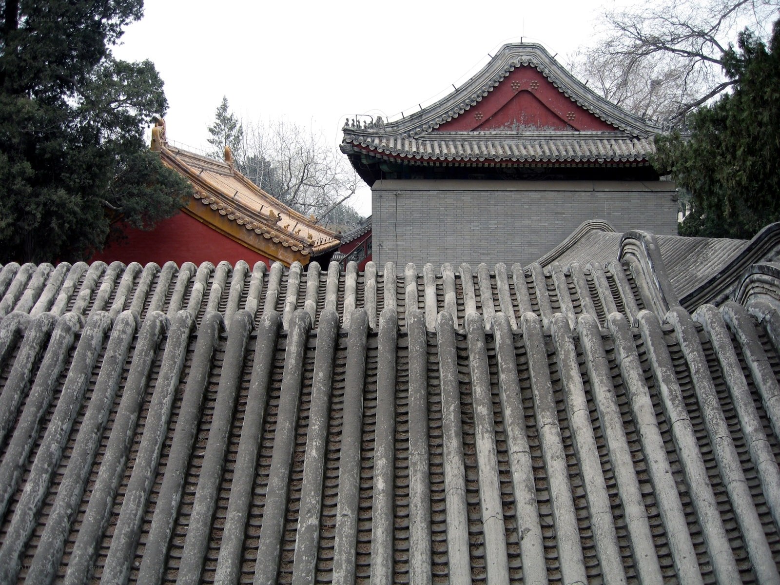 traditional chinese rooftops