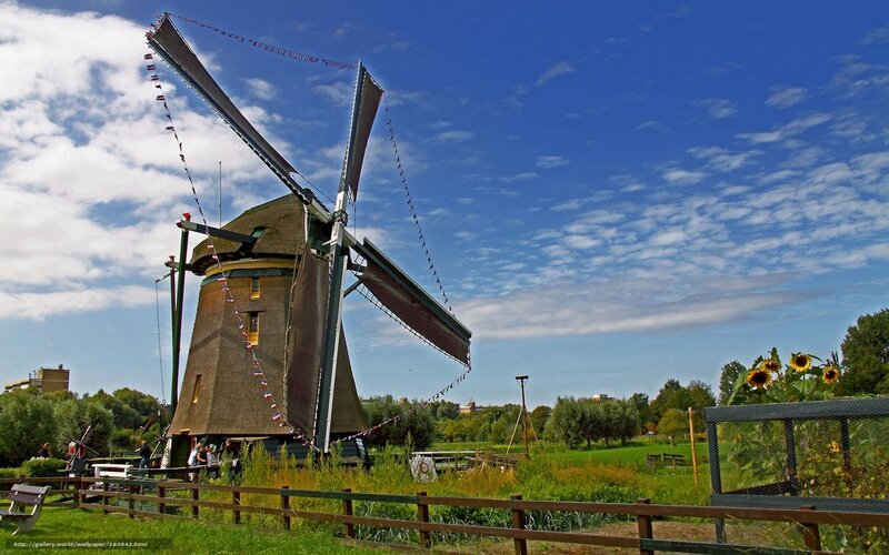 Traditional Dutch windmill in a park
