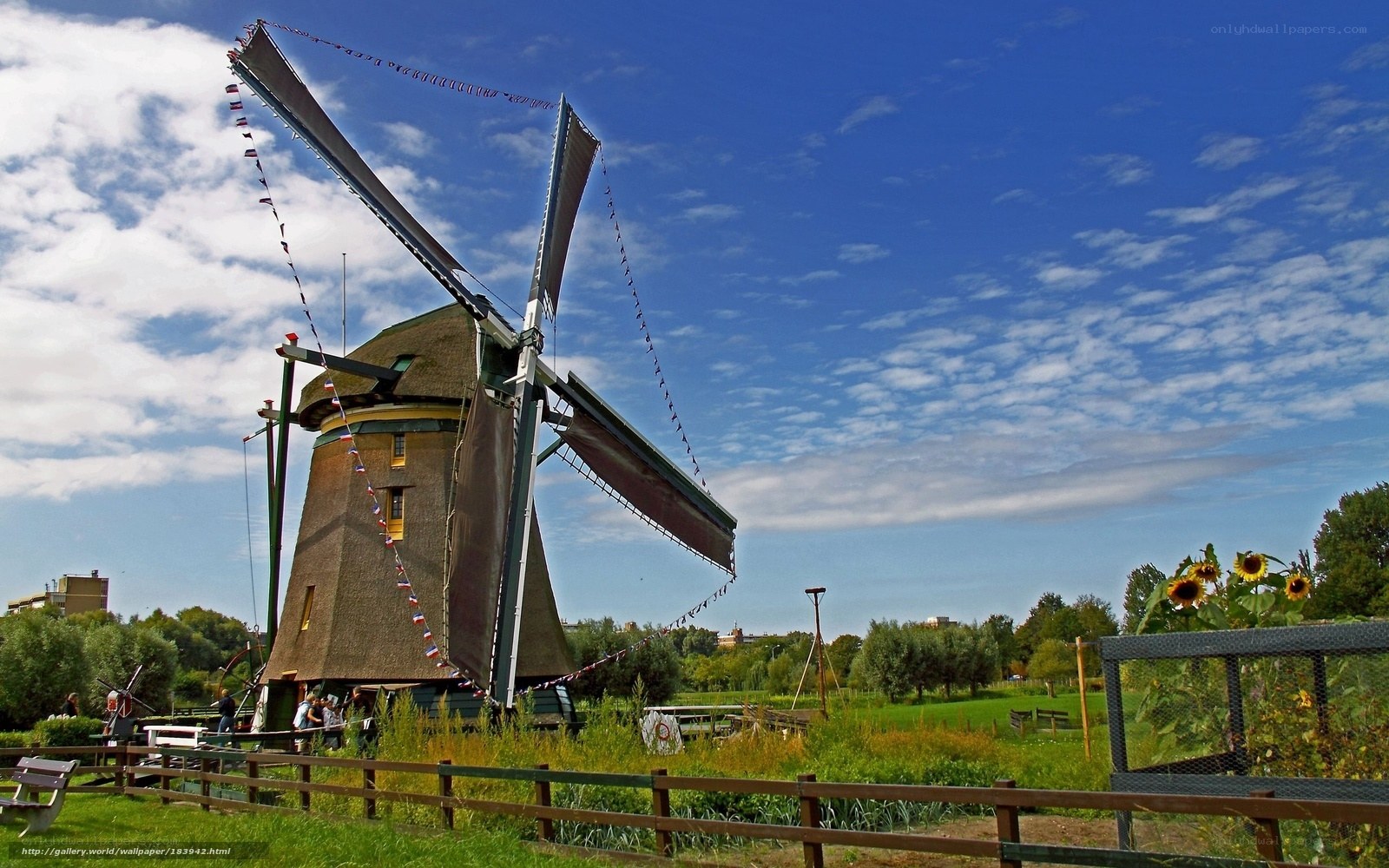 Traditional Dutch windmill in a park