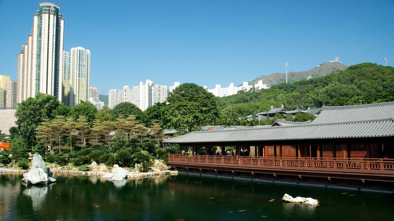 Traditional garden with city skyline