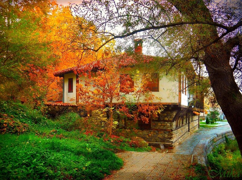 Traditional House in Autumn — Orange
