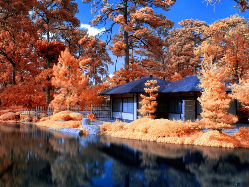 Traditional House in Garden — Orange, Serene