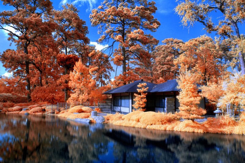 Traditional House in Garden — Orange