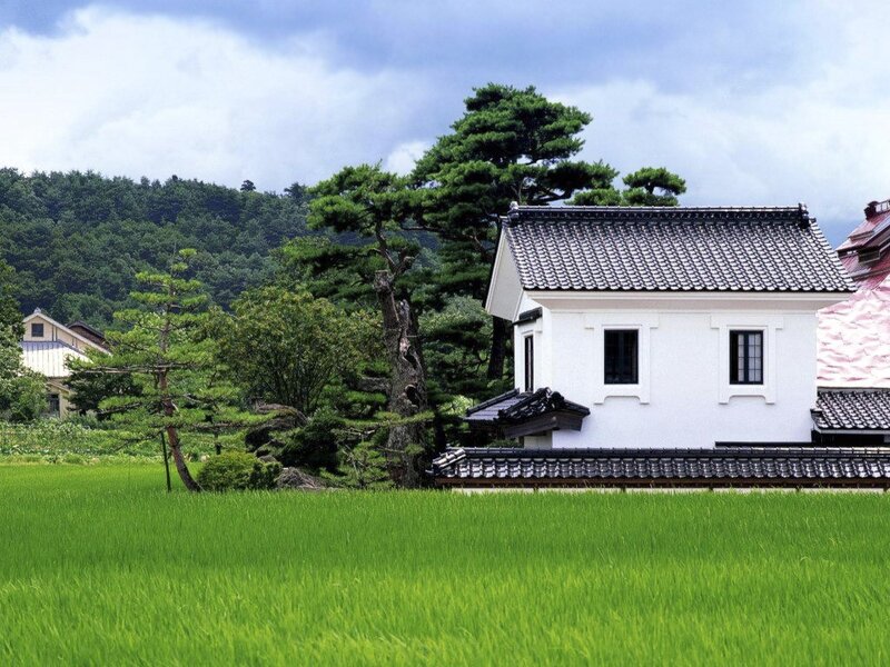 Traditional house in rice field