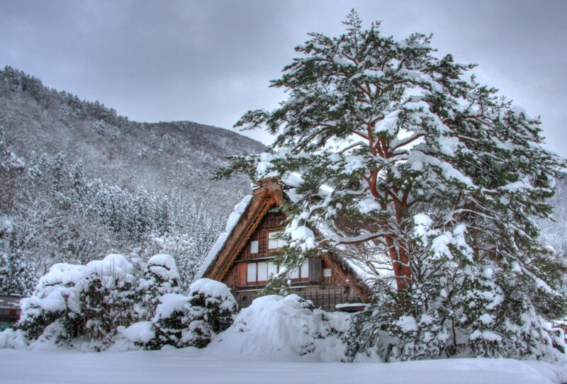 Traditional House in Snow — White, Serene