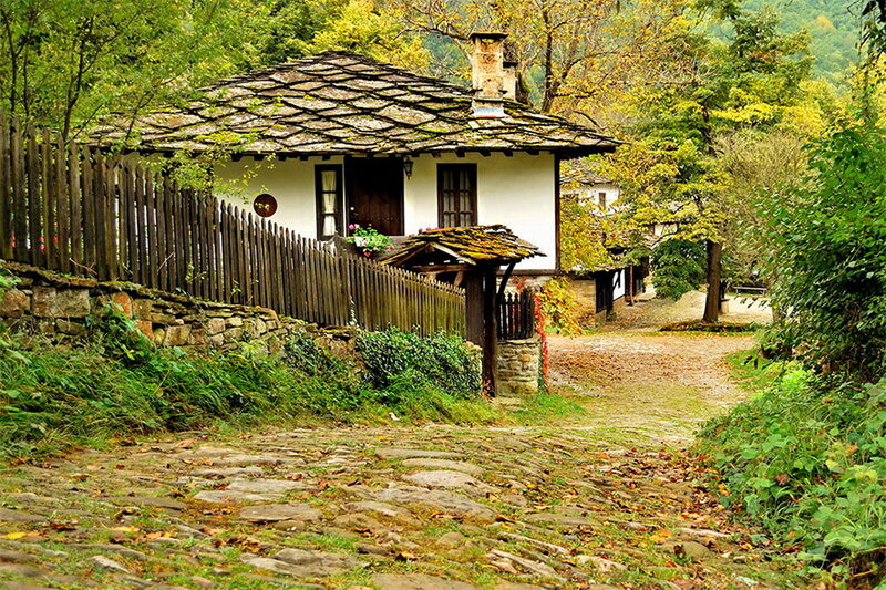 Traditional House in Village — Green