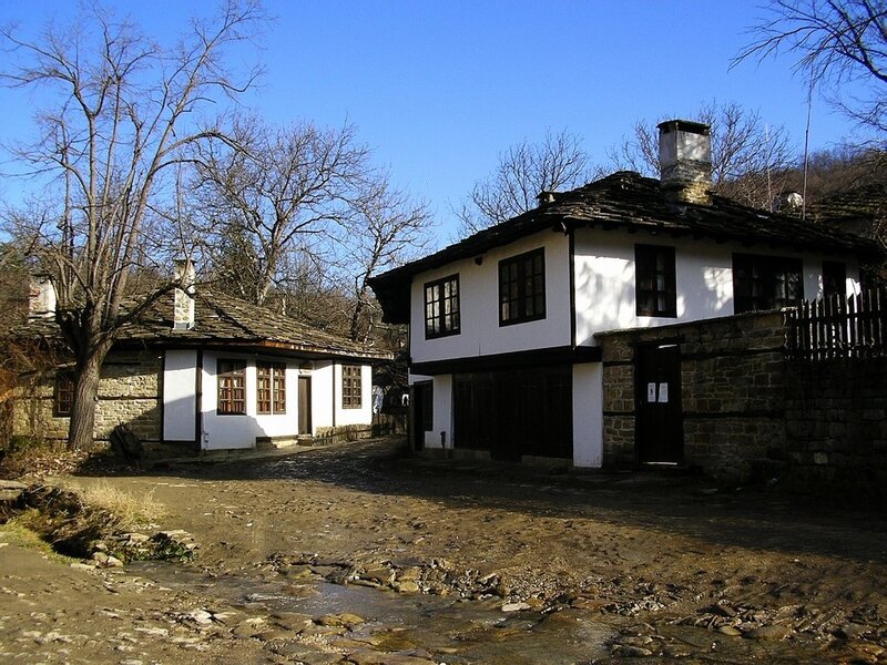 Traditional houses in a village