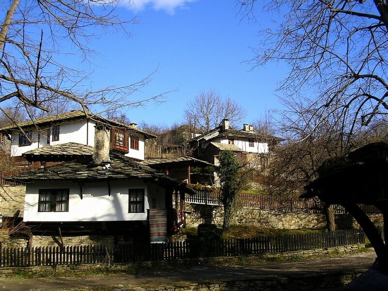 Traditional houses in a village
