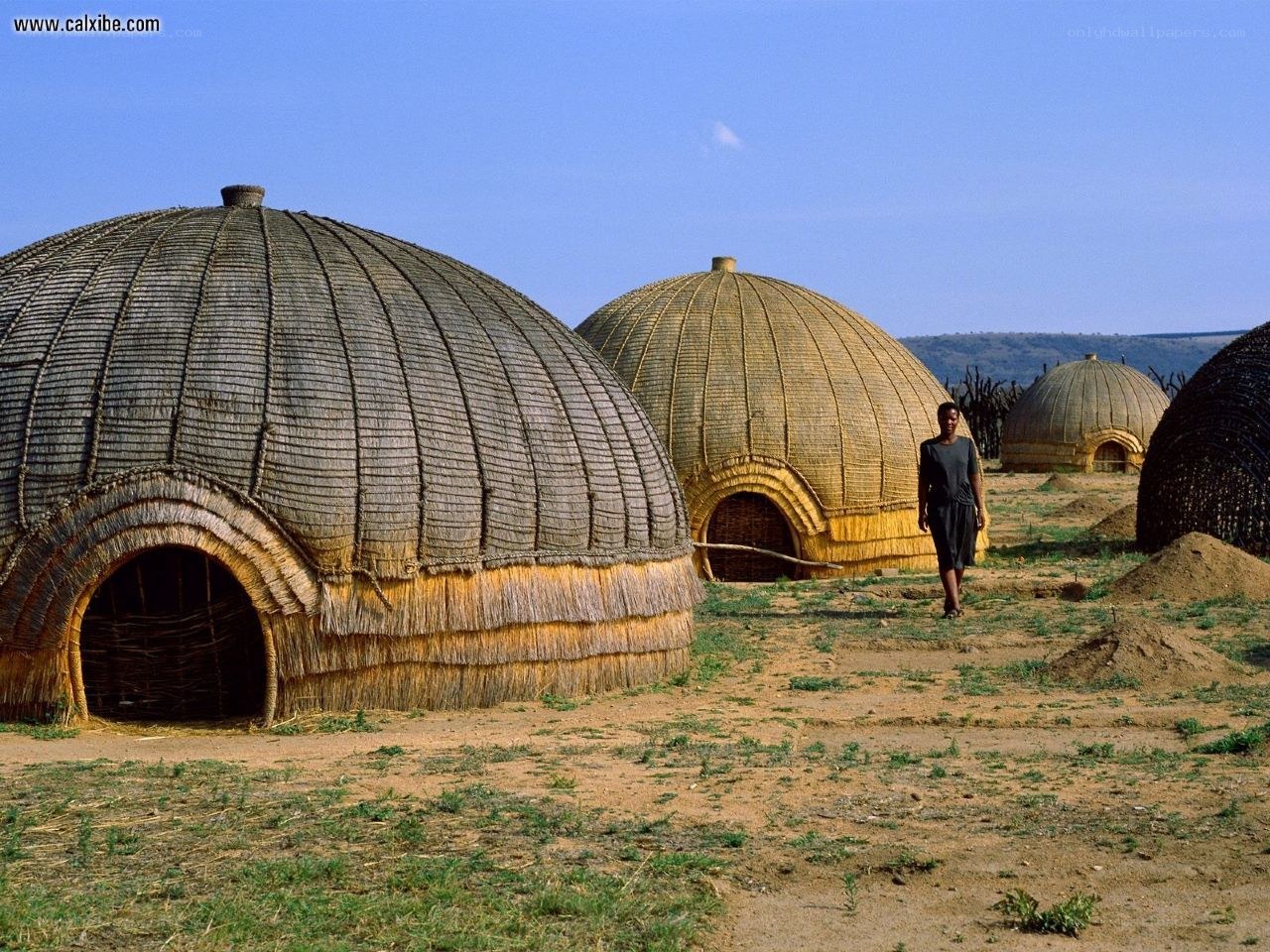 Traditional huts in a village