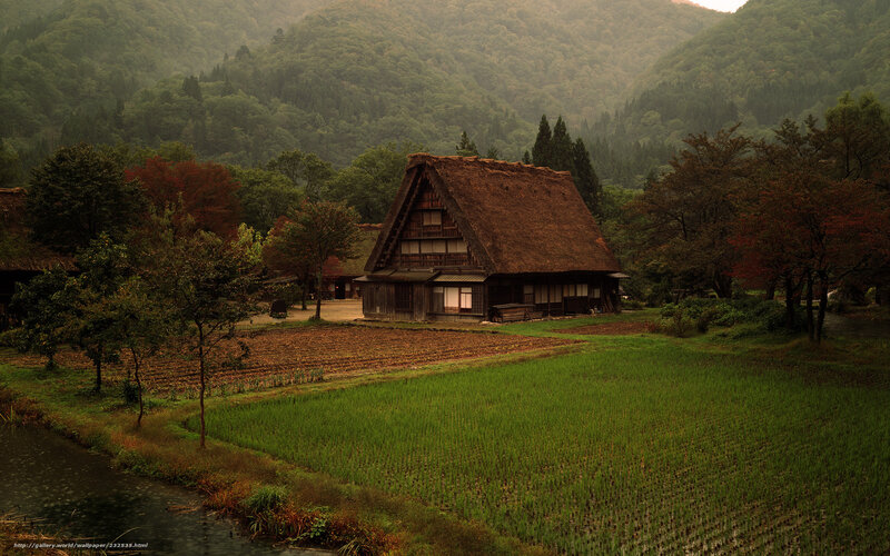 Traditional Japanese farmhouse in rural landscape