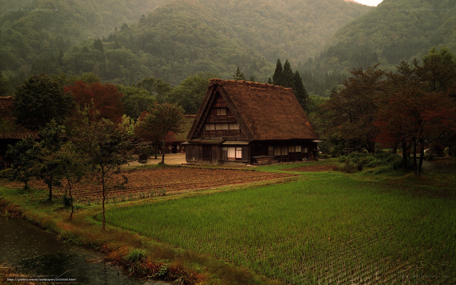 Traditional Japanese farmhouse in rural landscape
