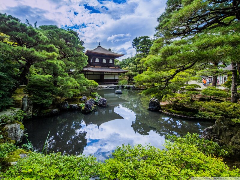Traditional Japanese Garden — Green, Serene, Afternoon, Photograph
