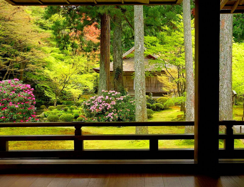 Traditional Japanese Garden — Green, Serene, Spring, Photograph
