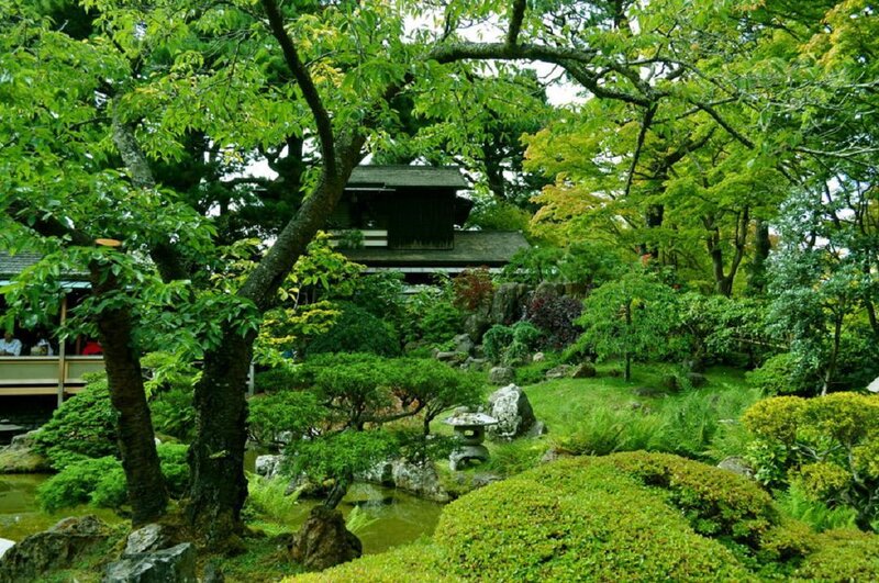Traditional Japanese Garden — Green