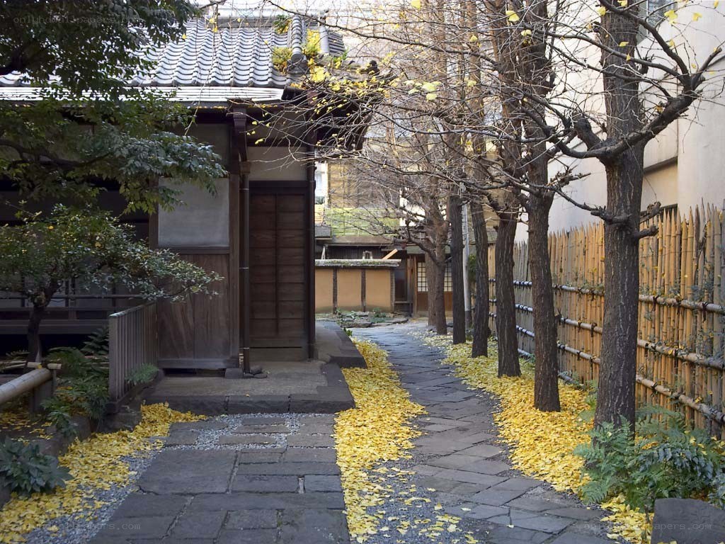 Traditional Japanese garden path