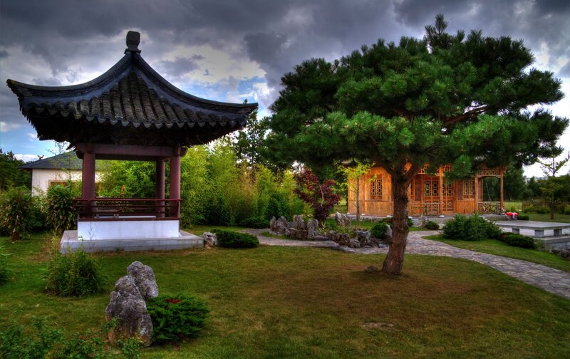 Traditional Japanese garden scene